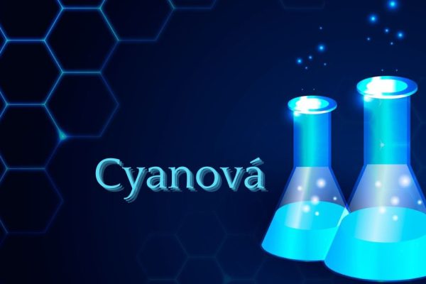 Cyanová: The Vibrant World of Modern Design