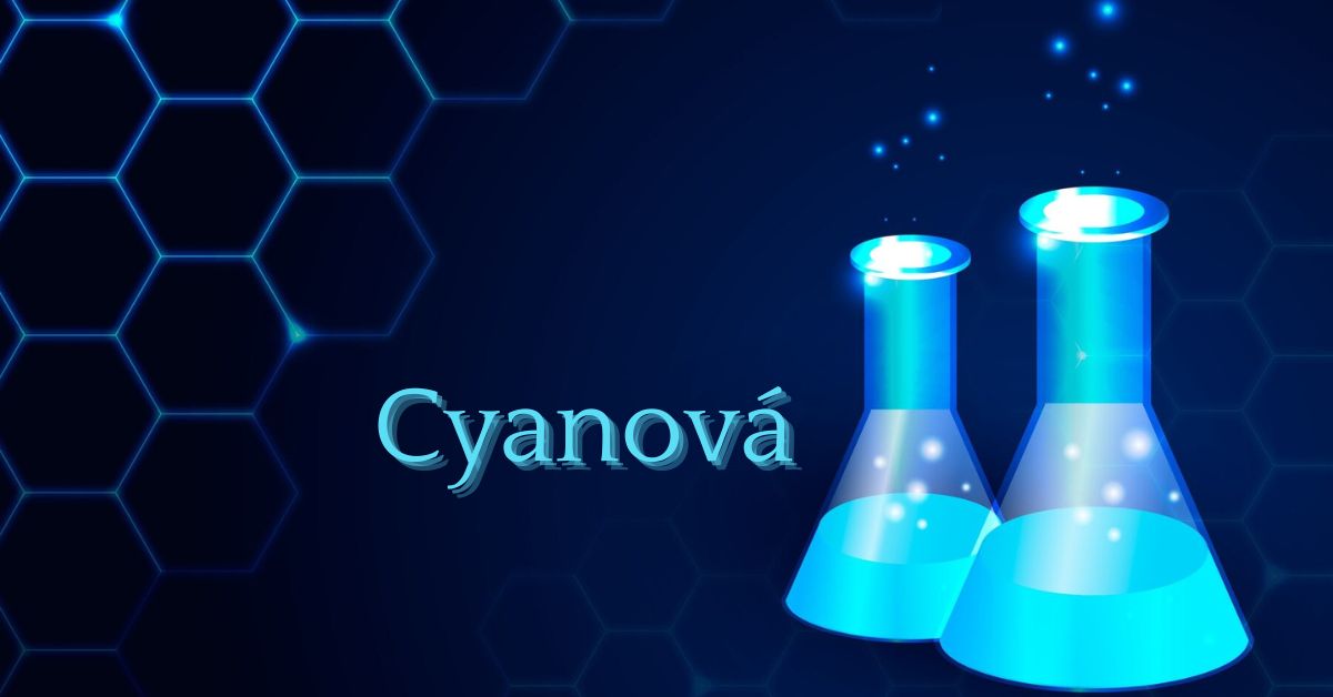 Cyanová: The Vibrant World of Modern Design