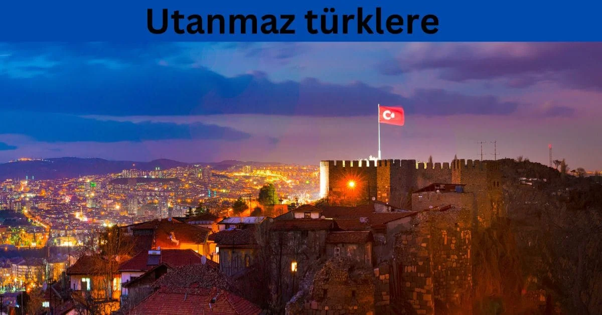 Utanmaz Türklere": A Look at Cultural Self-Reflection and Critique