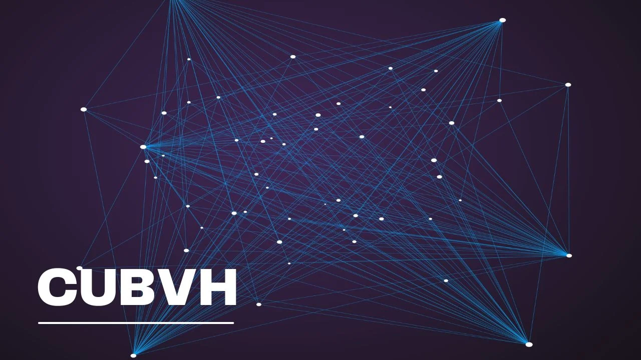 CUBVH: An Insight into the Cutting-Edge Blockchain Platform