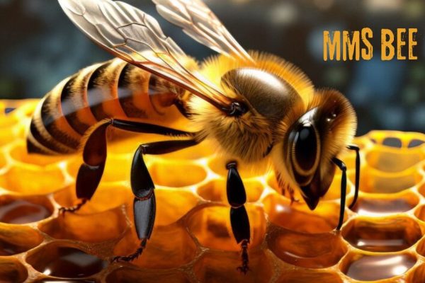 MMS Bee 24: A Modern Approach to Streamlined Communication and Productivity