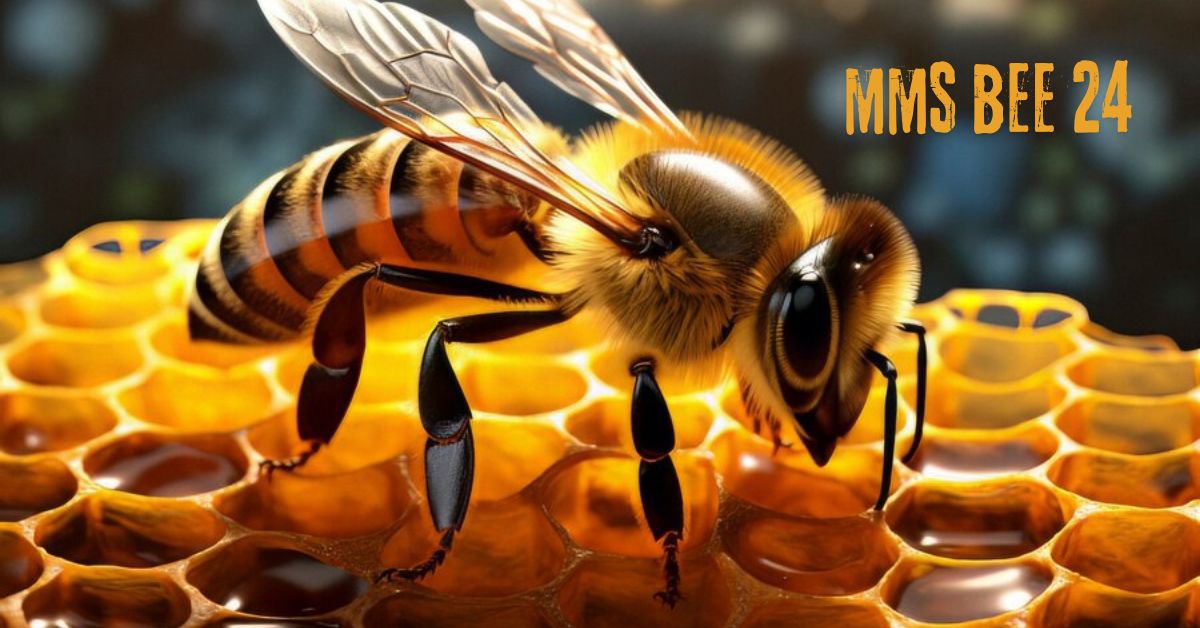 MMS Bee 24: A Modern Approach to Streamlined Communication and Productivity