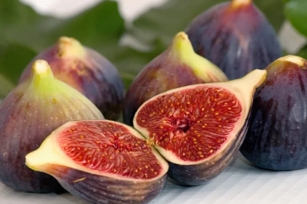 The Rise of Friday Fig: A New Trend in Culinary and Lifestyle Choices