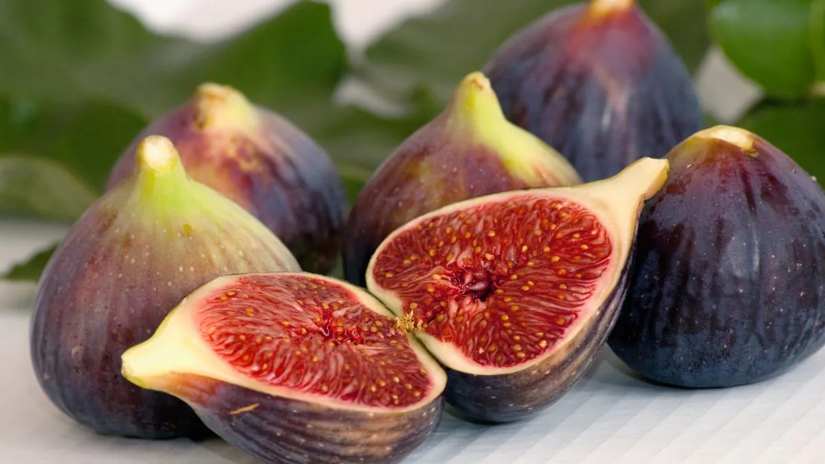 The Rise of Friday Fig: A New Trend in Culinary and Lifestyle Choices