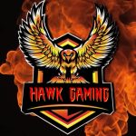 Hawk Gaming: Elevating Online Casino Experiences in the Philippines