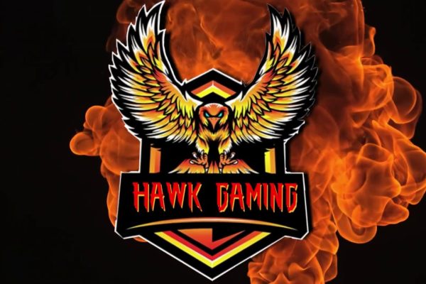 Hawk Gaming: Elevating Online Casino Experiences in the Philippines