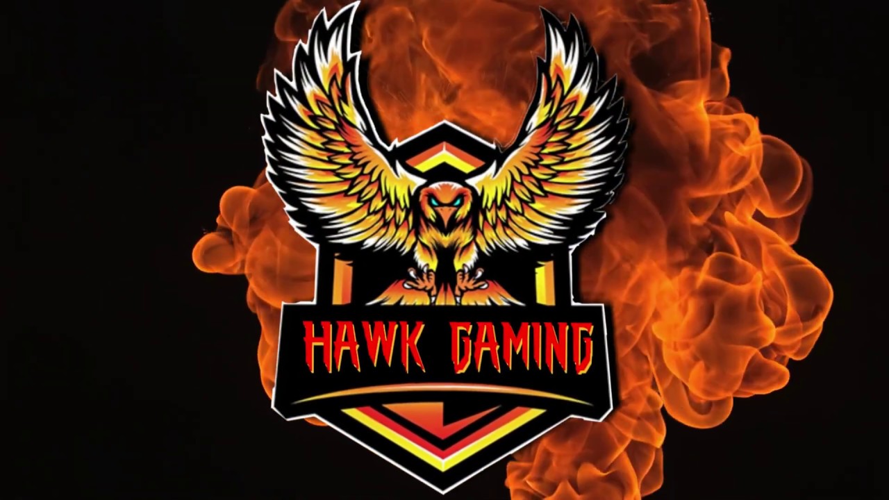 Hawk Gaming: Elevating Online Casino Experiences in the Philippines