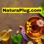 NaturaPlugg.com: Redefining Sustainability in Modern Living