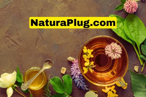 NaturaPlugg.com: Redefining Sustainability in Modern Living